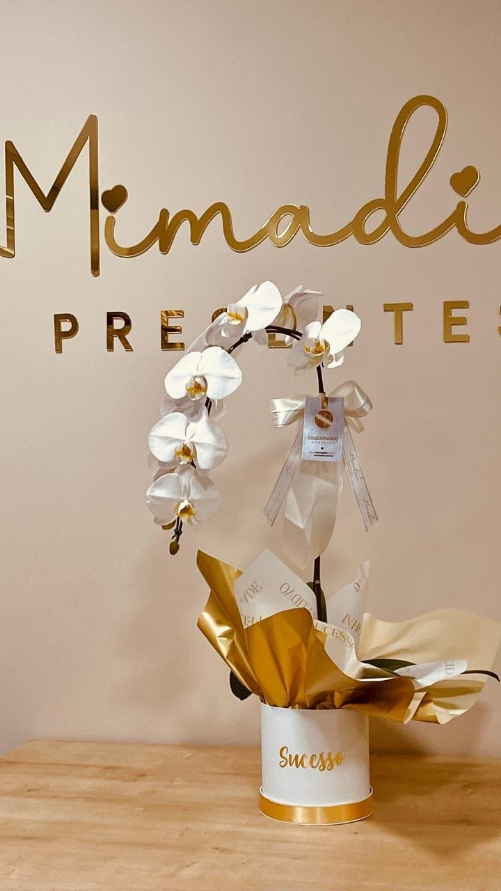 Orquídea Premium