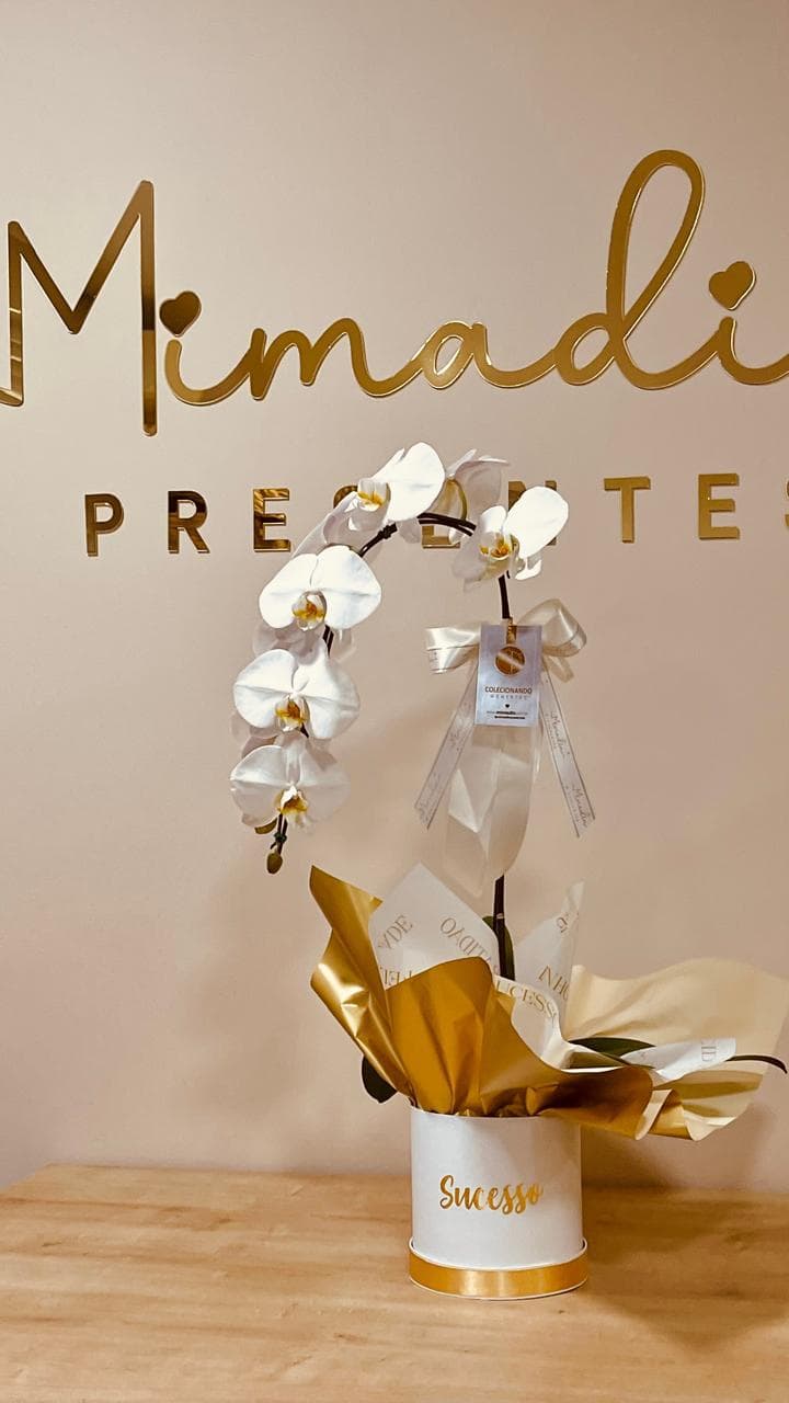 orquidea-mimadin-presentes.jpeg