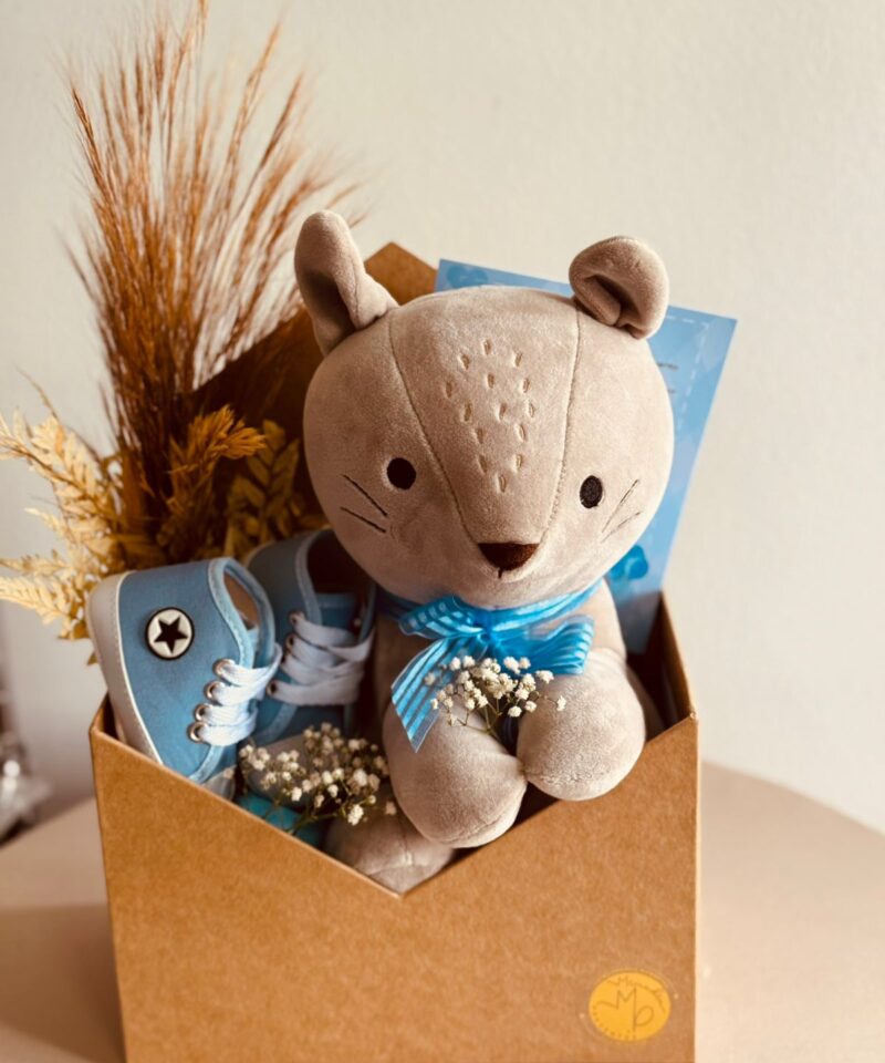 Meu Primeiro Amiguinho