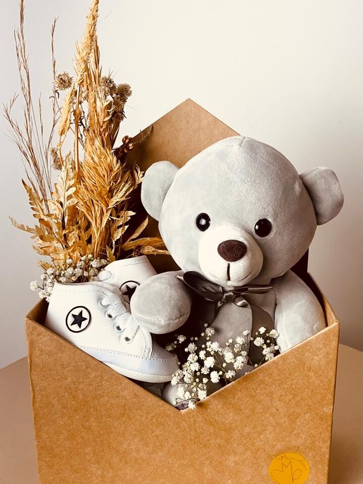 Meu Primeiro Amiguinho