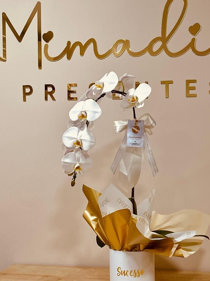 Orquídea Premium